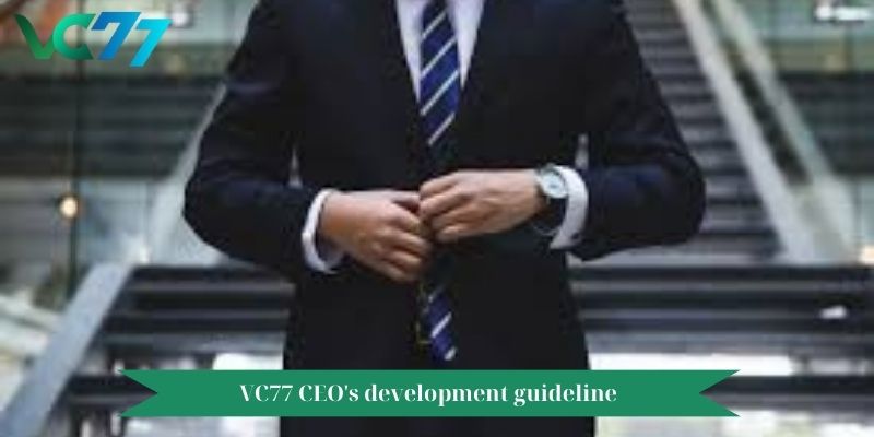 Role and influence of CEO VC77