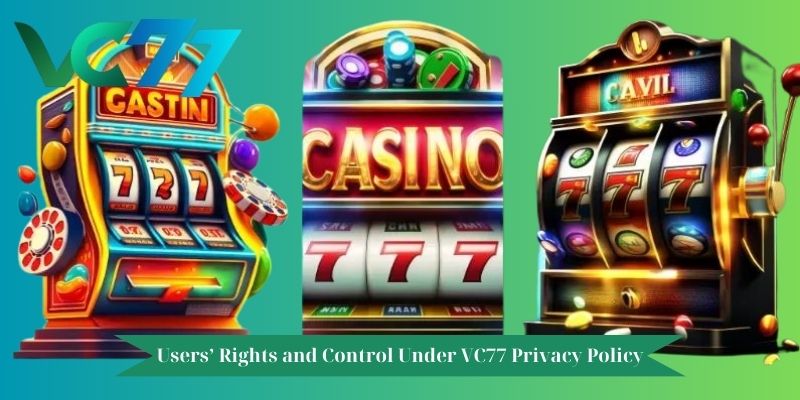 Users’ Rights and Control Under VC77 Privacy Policy